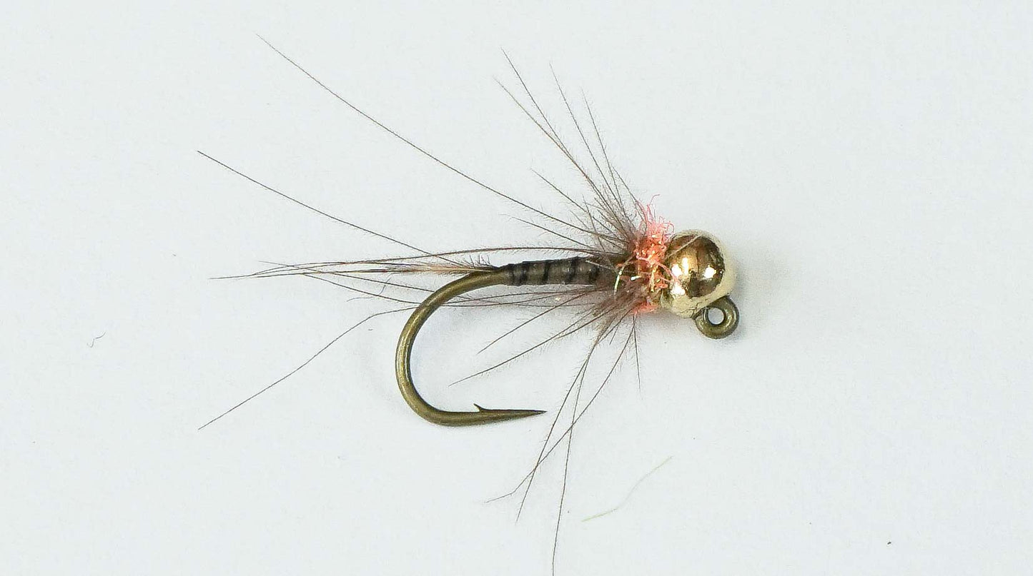 ジャックダニエル(Jack Daniel's Nymph)